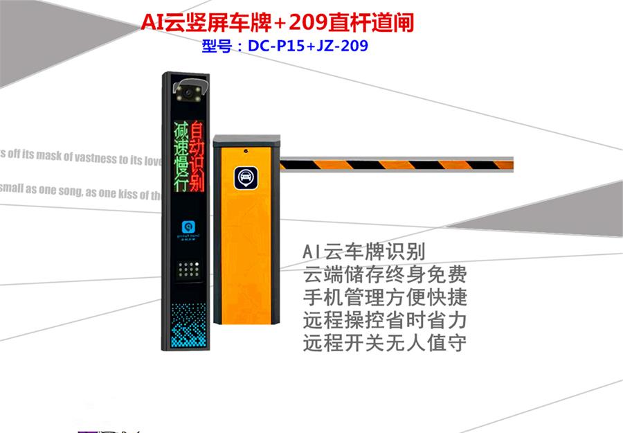 ����+209ֱ��