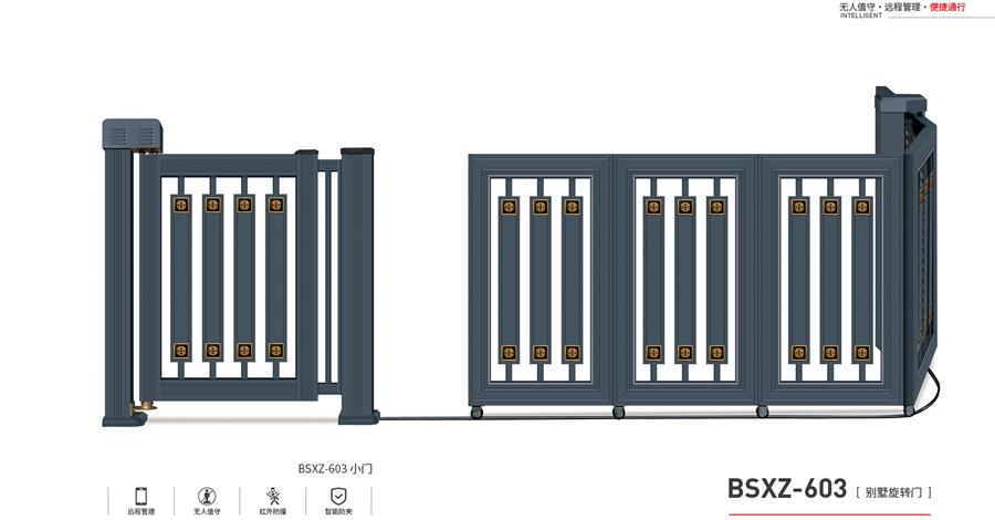 ������ת��603